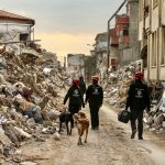 Turkey earthquake response