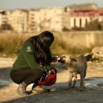 Turkey earthquake response