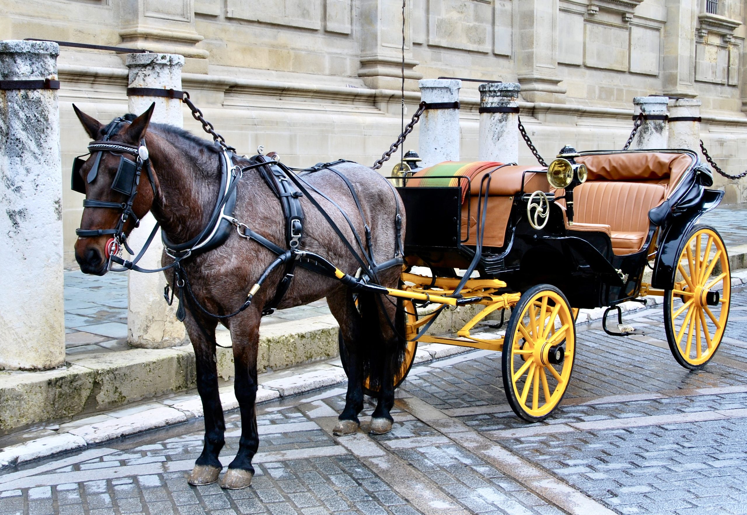 Philadelphia's first horseless carriage debuts in the July 4