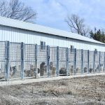 Clem Disterhaupt Jr/Ponca Creek Kennels