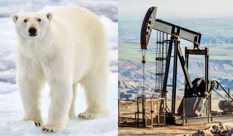 Biden Administration Rejects Calls To Phase Out Oil & Gas Extraction On Public Lands By 2035
