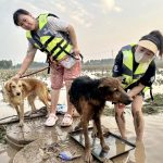 Vshine and CAWA respond to floods on southern outskirts of Beijing, China, August 2023, to help rescue cats and dogs.