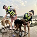 Vshine and CAWA respond to floods on southern outskirts of Beijing, China, August 2023, to help rescue cats and dogs.