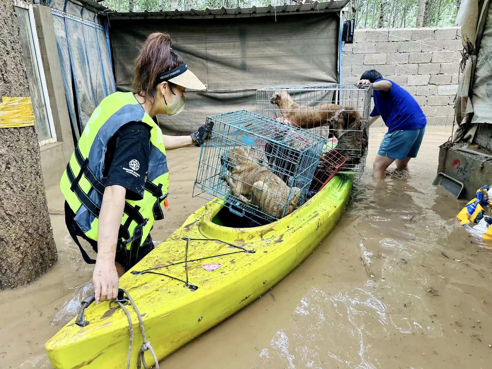 China Floods 2023 - World Animal News