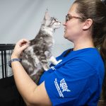 VA Cat Breeder Rescue at Care Center