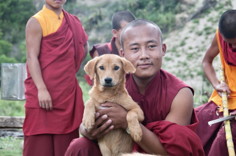 The Kingdom Of Bhutan Becomes The First Country In The World To Achieve 100% Dog Sterilization & Vaccination