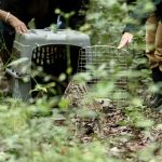 Guatemalan Wildlife Release