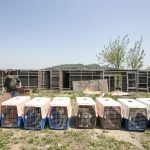 South Korea Dog Meat Farm Rescue (Farm 16)