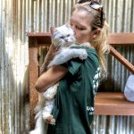 Tomohon dog and cat meat rescue