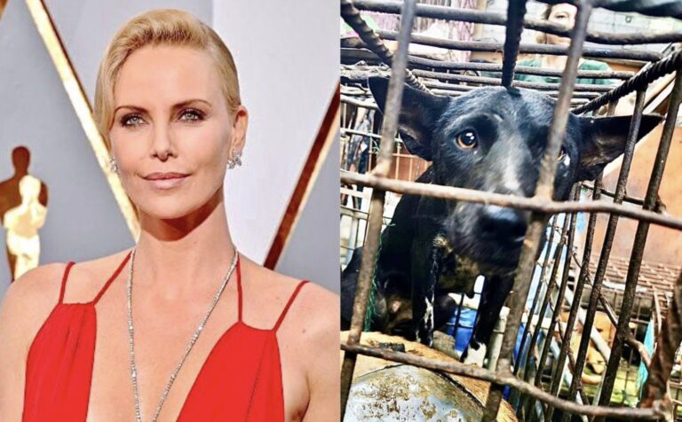 Charlize Theron, Billie Eilish & Clint Eastwood Among Stars Calling For An End To Cruel Dog & Cat Meat Trade In Indonesia