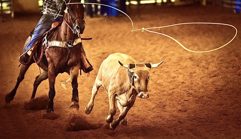 Los Angeles City Council Votes Unanimously For A Citywide Ban On Rodeos; Pressure Is Still Needed For A Final Vote