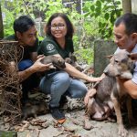 Viet Nam dog meat facility rescue