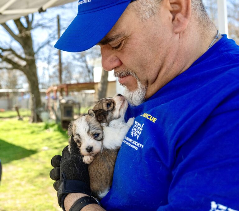 250 Dogs Rescued From Alleged Cruelty At Two Puppy Mills In Milburn, Oklahoma