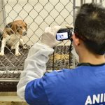 investigator wayne hsiung films a dog inside ridglan