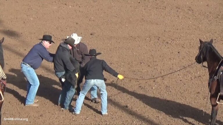 Activists Protest Animal Cruelty & The Use Of Electric Shock Devices At The Tucson Rodeo