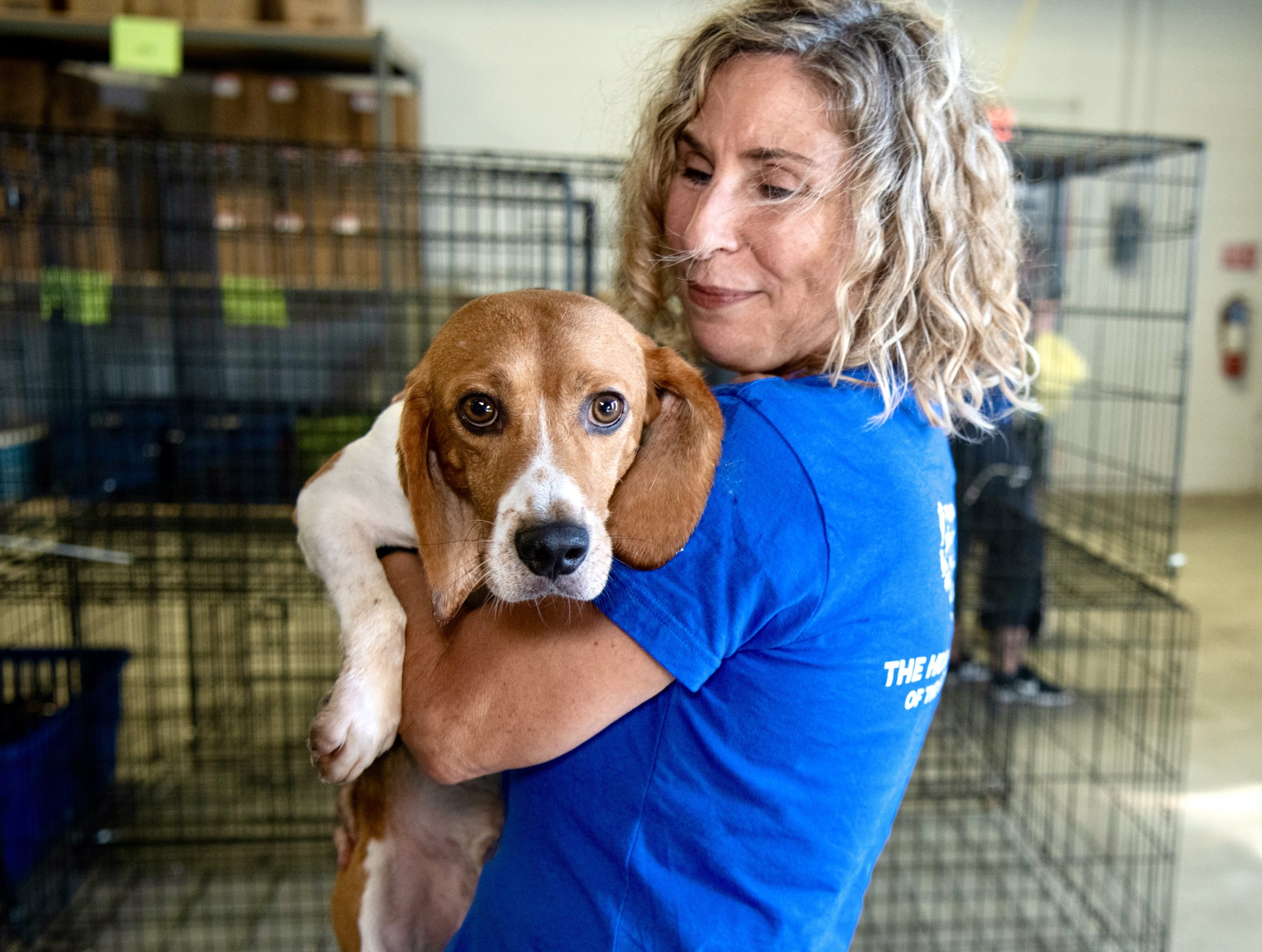$35 Million Settlement Reached By Animal Testing Company Following ...