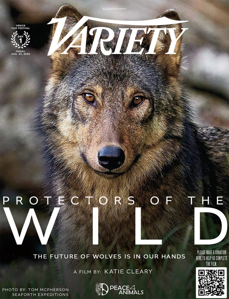 “Protectors Of The Wild” Features Wolf On The Cover Of Variety Magazine At The Venice Film Festival