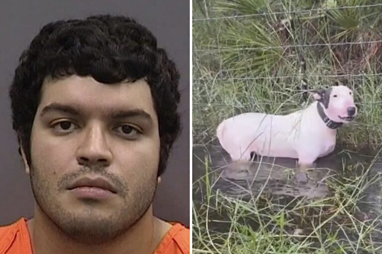 Man Charged With A Felony For Leaving His Dog Tied To A Fence During Hurricane Milton