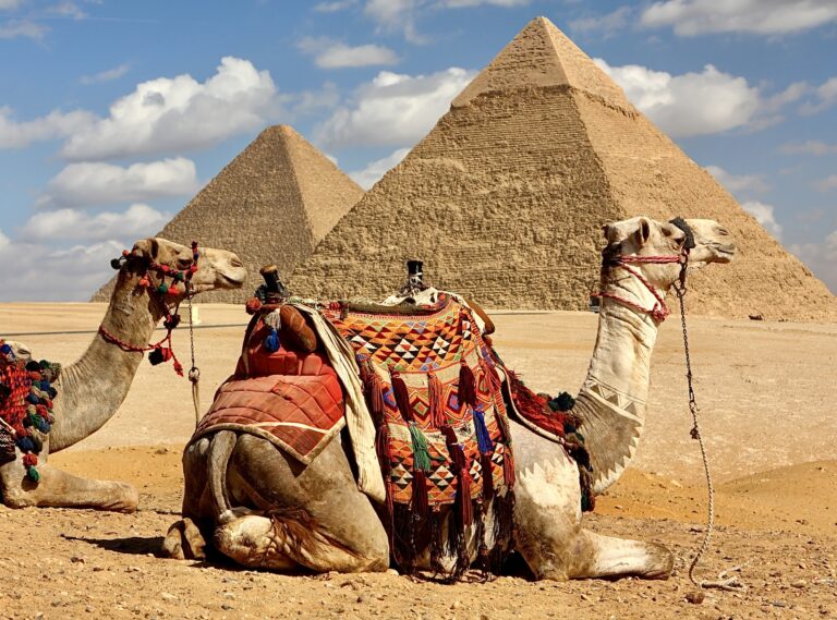 Victory! Aero Travels Drops Camel &  Horse Rides At Egypt’s Pyramids Following Abuse Concerns