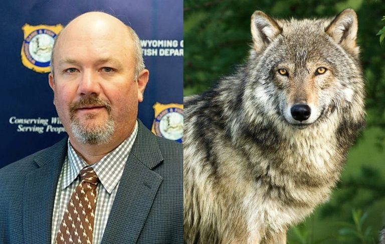 Brian Nesvik To Lead USFWS After Promoting The Year-Round Killing Of Wolves In Wyoming