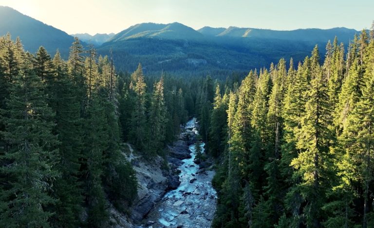 Urge The Trump Administration To Protect Our National Forests & Keep The Roadless Rule In Place: Comment Deadline Sep. 19th