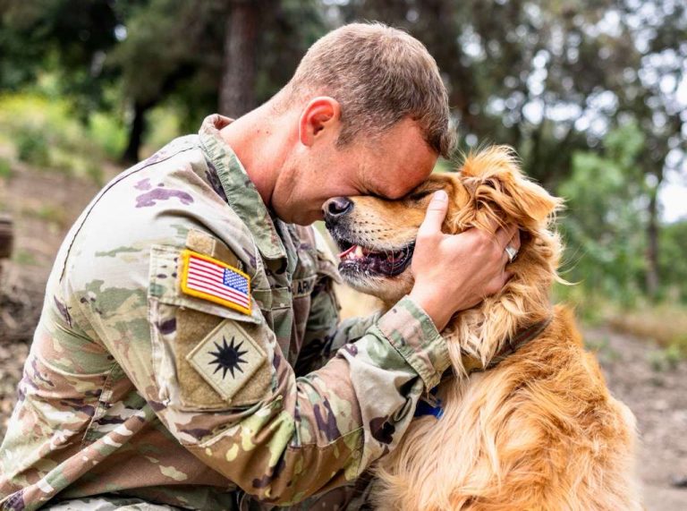 Honoring Our Heroes This Veterans Day!