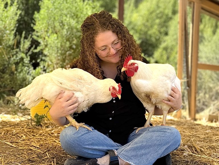 Animal Rescuer Zoe Rosenberg Sentenced To 90 Days In Jail For Saving Four Sick Chickens