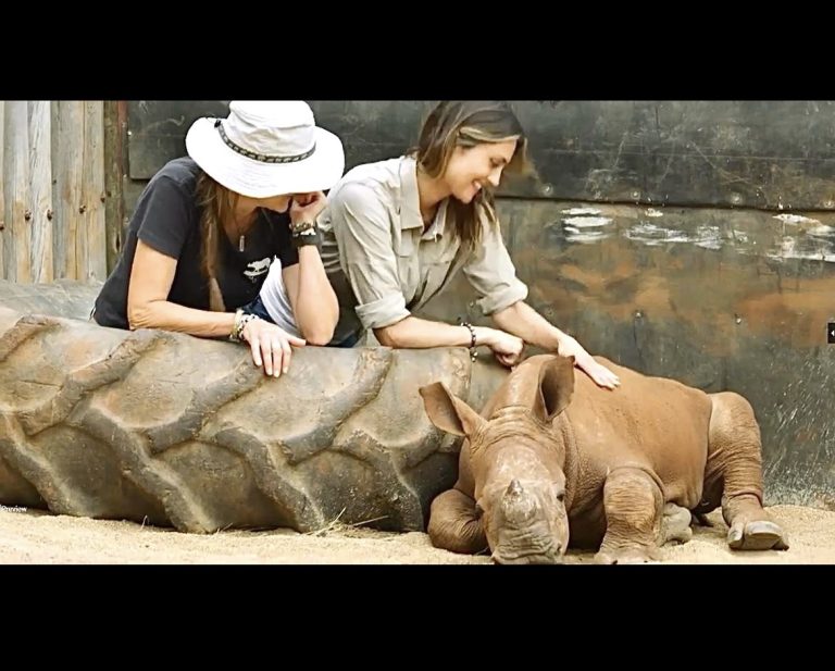 World Animal News & Ecoflix Partner To Drive Mainstream Awareness For Animal Welfare Worldwide