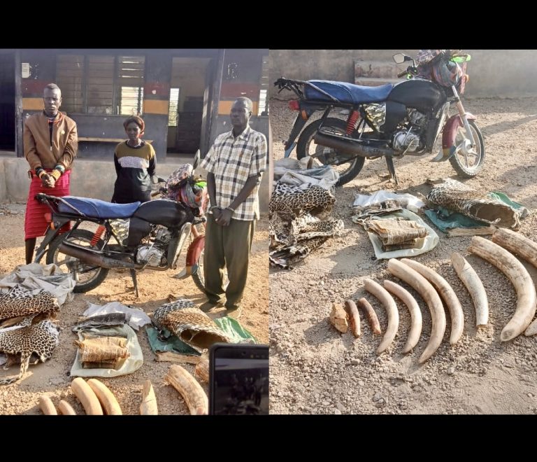 Kenya Cracks Down On Wildlife Crime: Three Arrested With Elephant Ivory, Leopard & Python Skins