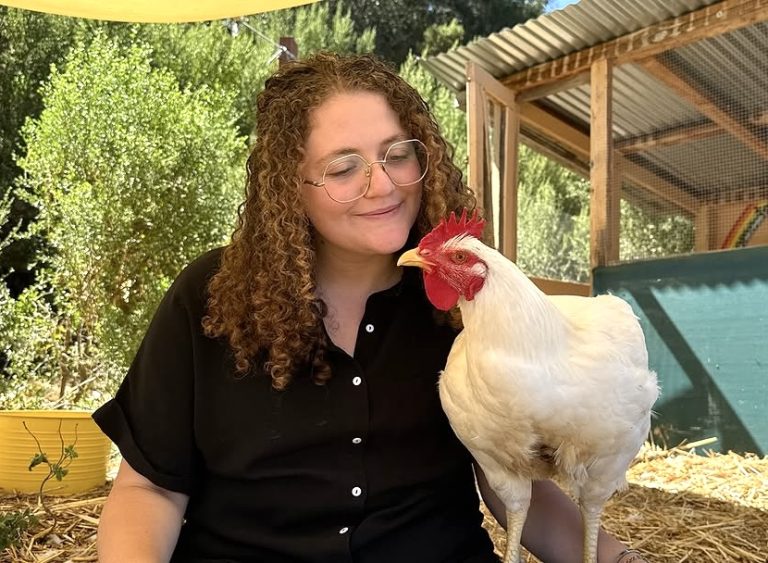 Zoe Rosenberg Faces House Arrest For Saving Four Suffering Chickens From Slaughter