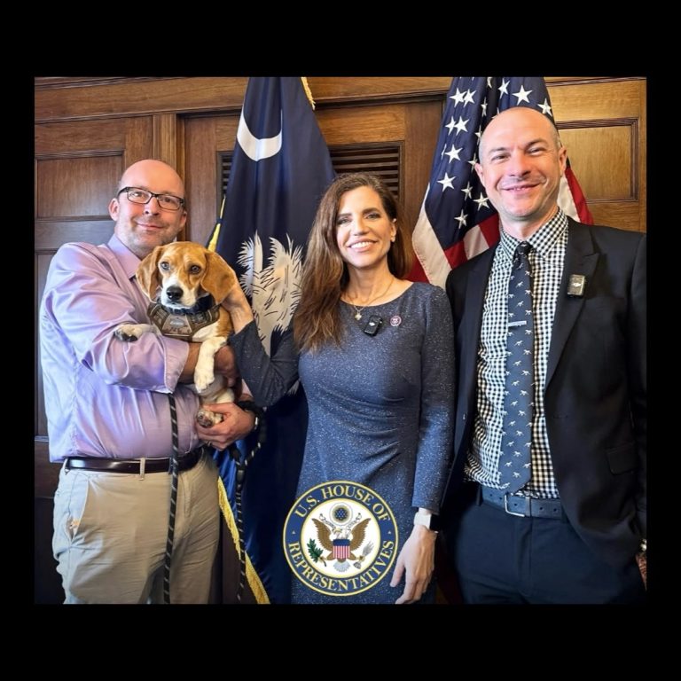 U.S. Lawmaker Launches Lifesaving Effort To Stop Cruel Dog & Cat Testing