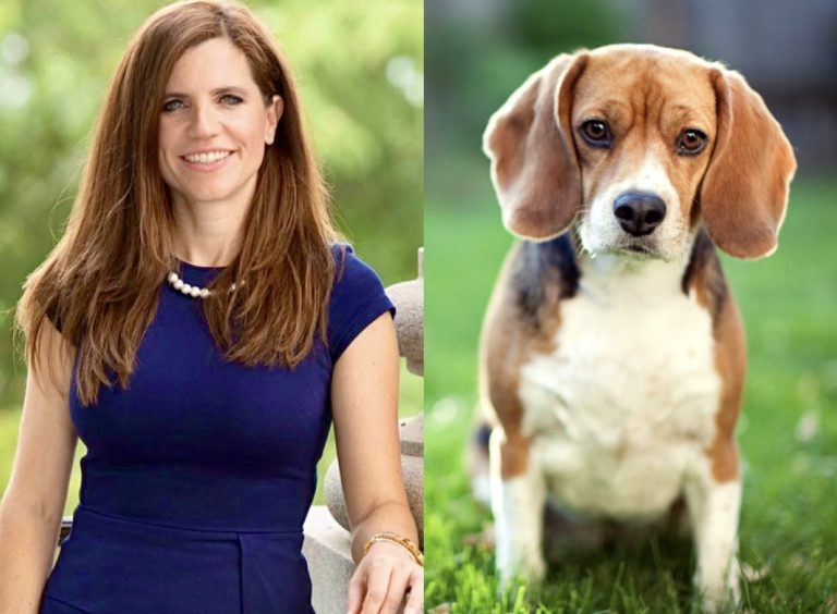 WAN Exclusive Prompts Congressional Call To RFK Jr. To Cut NIH Dog Lab Funding