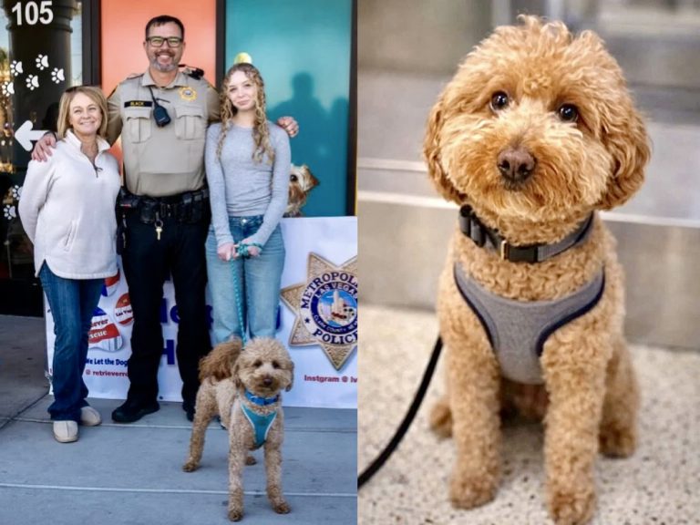 Adorable Pup Abandoned At Airport Finds Loving Home With Las Vegas Police Officer