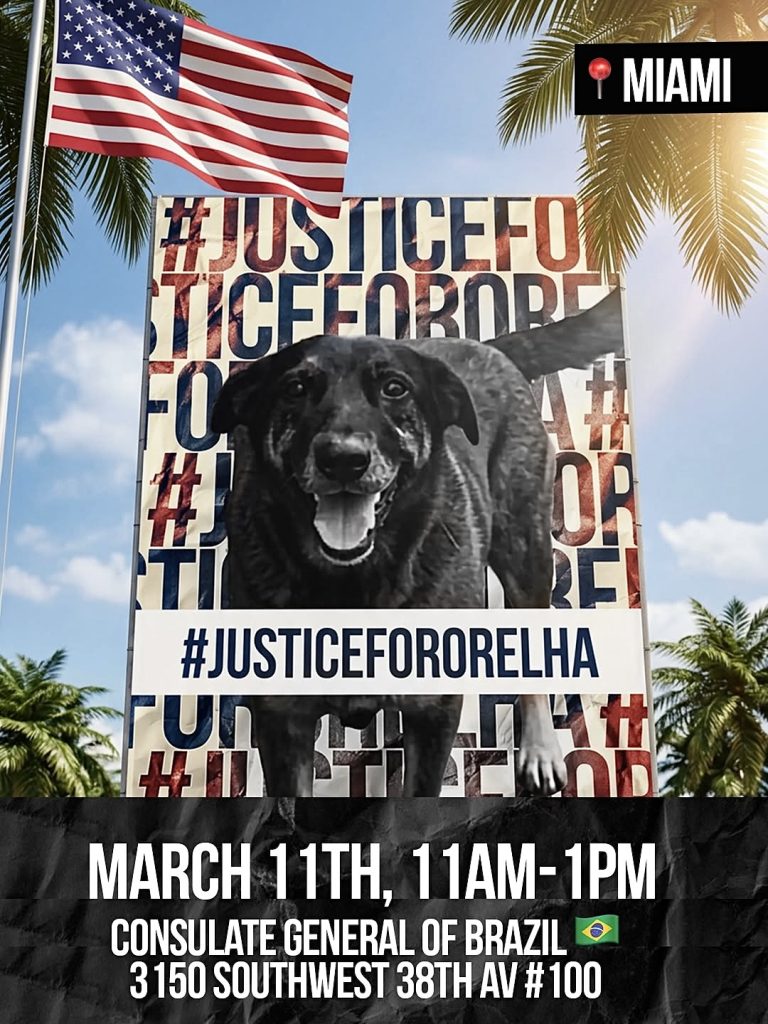 Miami Protest Demanding Justice For Orelha Set For Wednesday, March 11