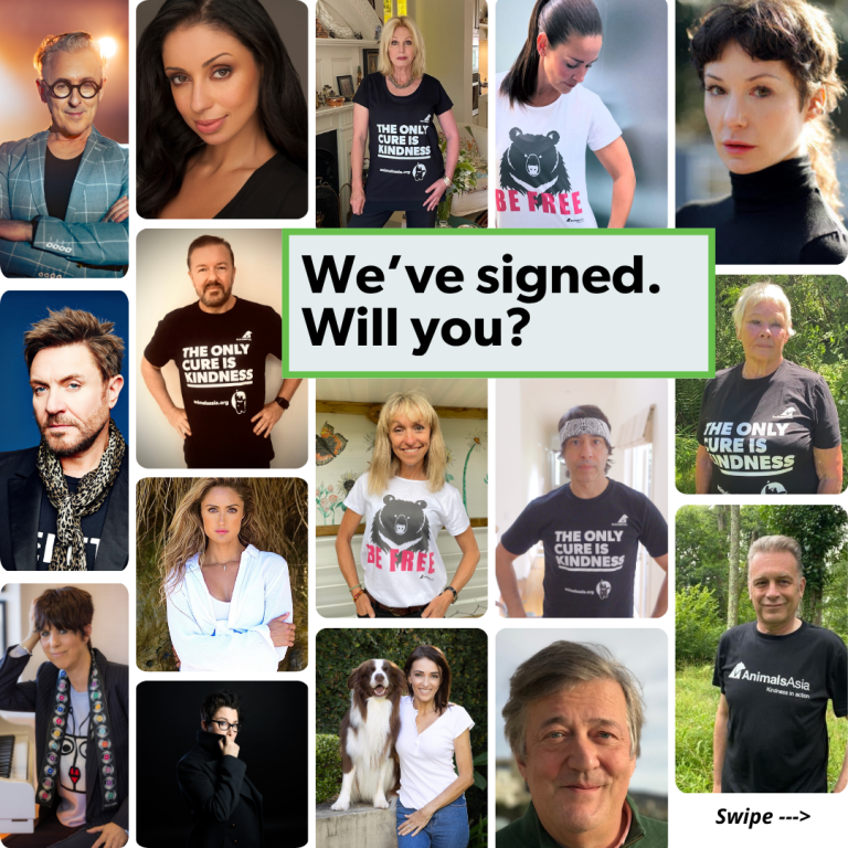 Celebrities Join Forces With Animals Asia To Help Free The Final Bears From Bile Farming In Vietnam