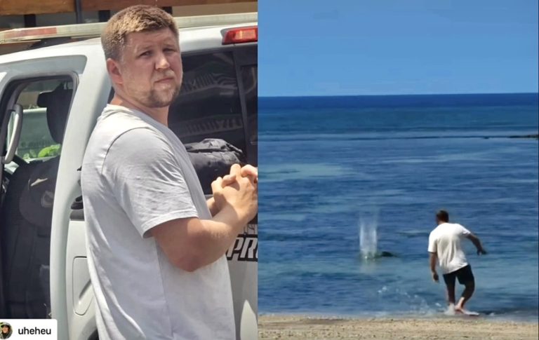 Street Justice Follows Alleged Attack On Endangered Hawaiian Monk Seal As Man Is Detained By Officers