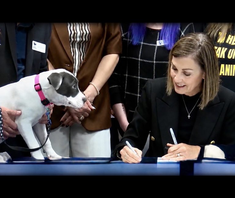 Justice For Animals: Iowa Becomes The 50th State To Make Animal Torture A Felony