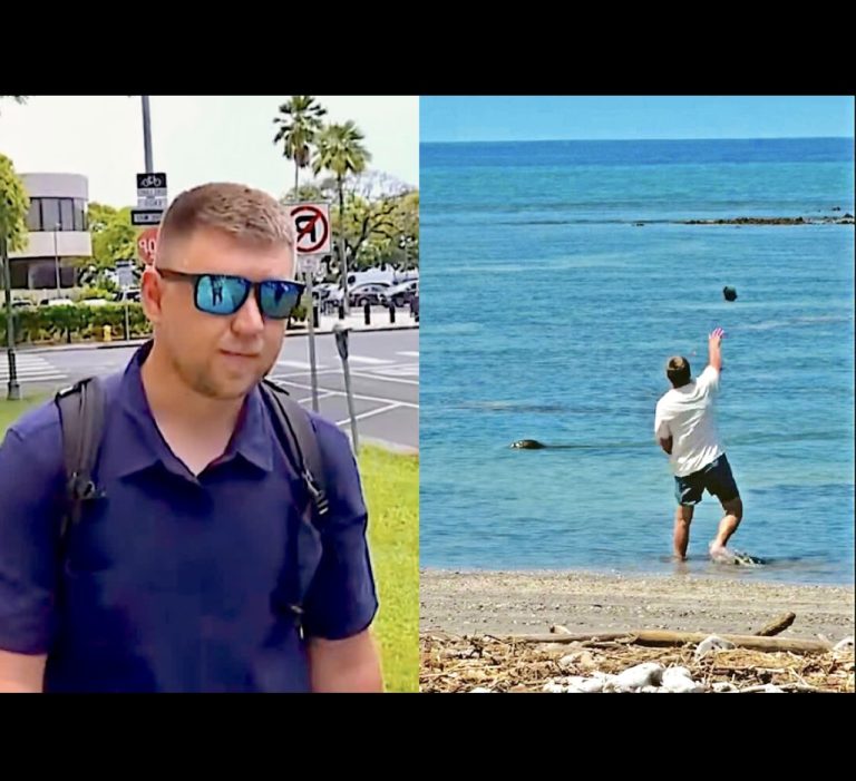 Man Accused Of Hurling Large Rock At Endangered Hawaiian Monk Seal Pleads Not Guilty