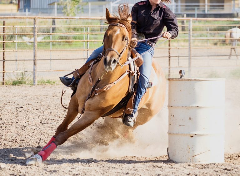 Three Horses Allegedly Stabbed At Las Vegas Barrel Racing Event; Teen Competitor Arrested