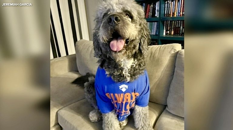 Justice For Jameson: Beloved Family Dog Fatally Shot By LAPD After Reported Welfare Check And Noise Complaint