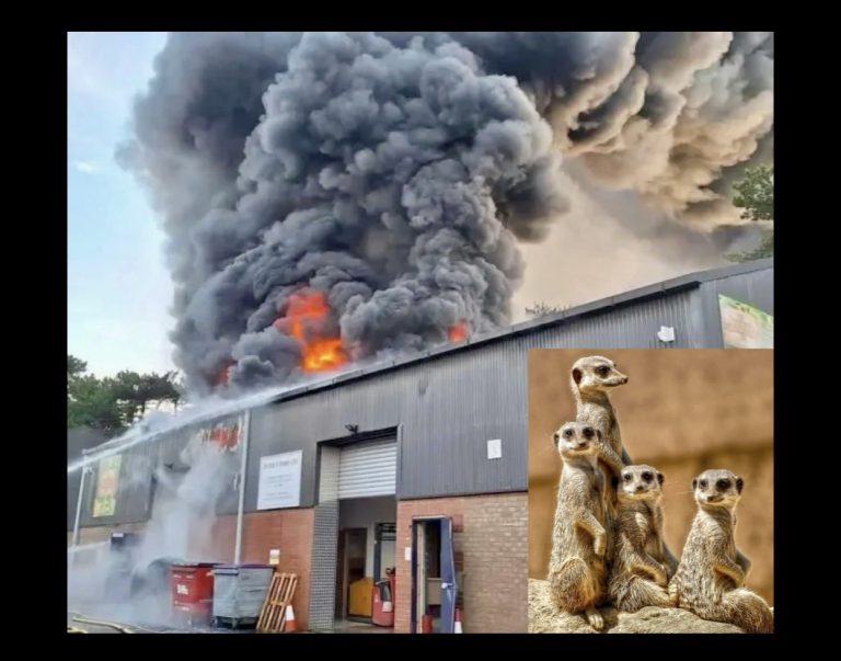 Devastating Fire At UK Mini Zoo Tragically Kills All Animals Housed Inside