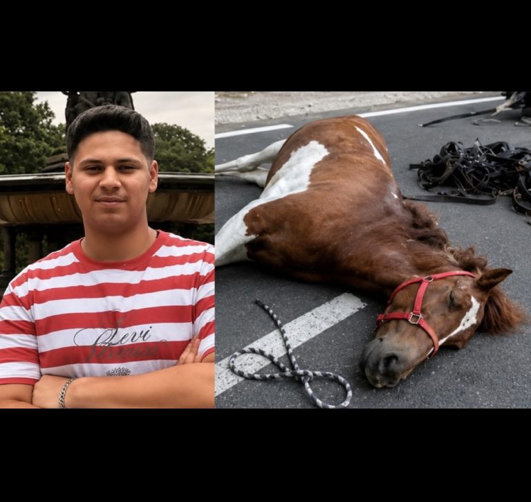 Your Voice Matters: Rally For Romanch’s Law At New York City Hall On Wednesday, July 15
