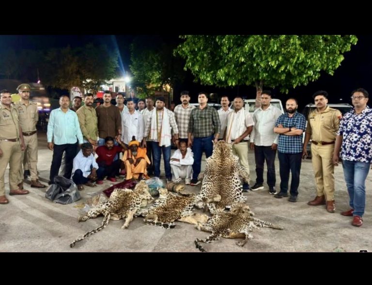 10 Leopard Skins Seized In Major Wildlife Trafficking Bust In India
