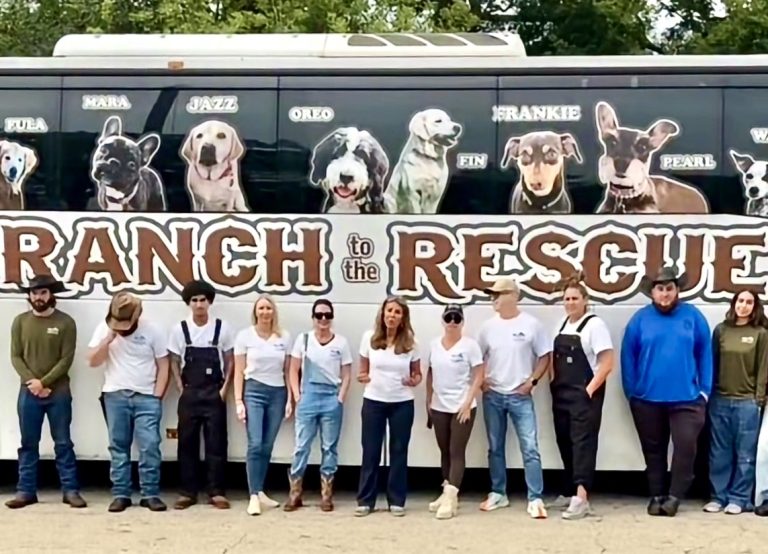 HISTORIC VICTORY: Final 155 Beagles Rescued As Ridglan Farms Closes After 60 Years