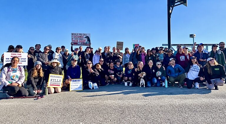 Hundreds Of Advocates March 207 Miles To Marshall BioResources To End Animal Testing
