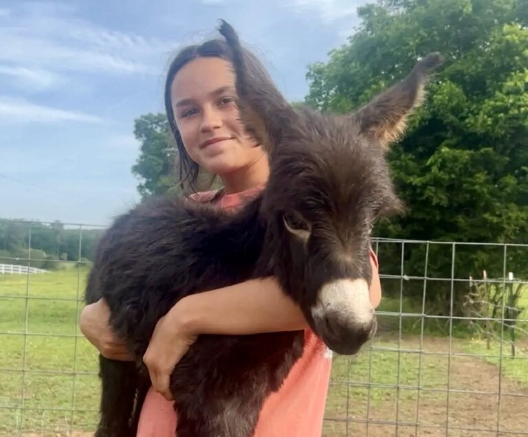 Beloved Baby Donkey HeeHaw Shot & Killed By Police Officer In His Own Pasture In Georgia