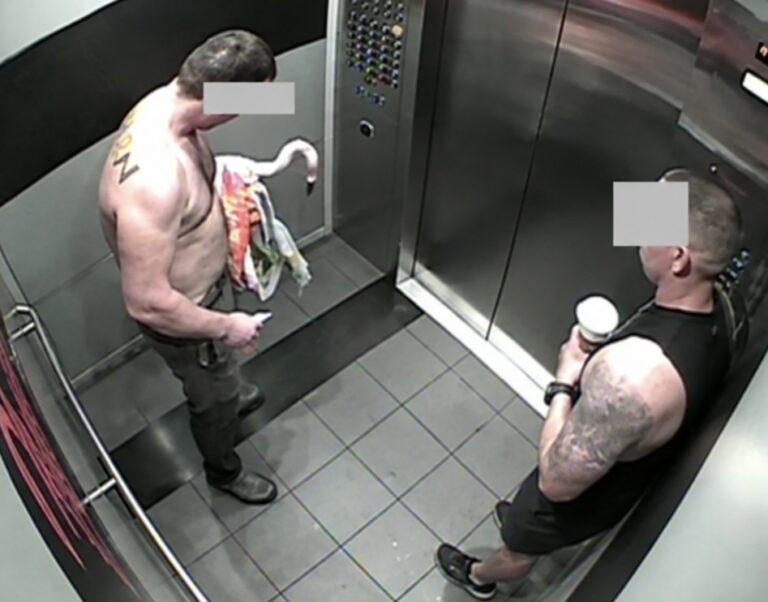 JUSTICE FOR PEACHY: Canadian Man Convicted Of Animal Cruelty After Injuring Flamingo At Las Vegas Hotel