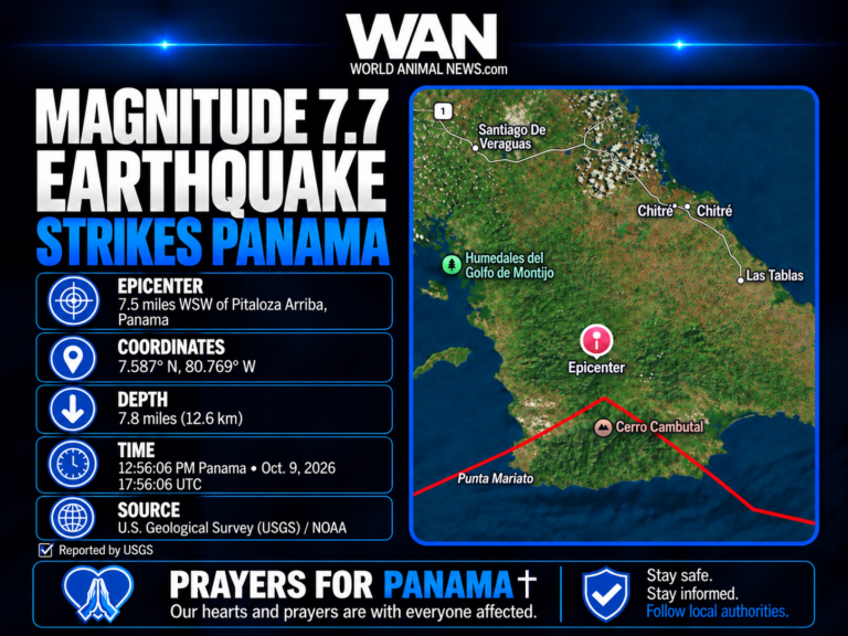 BREAKING: Magnitude 7.7 Earthquake Strikes Panama, Causing Damage And Injuries As Aftershocks Continue